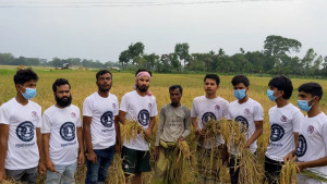 ছাত্রলীগ কর্মীরা ধান কেটে দিচ্ছেন, হালুয়াঘাটে ভিডিও ভাইরাল