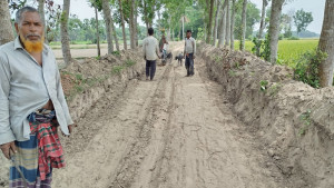 রাস্তা খুঁড়ে লাপাত্তা ঠিকাদার, মাঠের ধান পরিবহনে দুর্ভোগ
