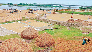 ক্ষতিগ্রস্তের তালিকায় ওঠেনি অনেক কৃষকের নাম