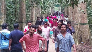 ঈদের টানা ছুটিতে পর্যটনের খরা ঘুচল লাউয়াছড়ায়