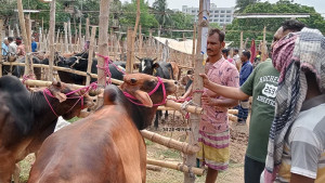 পশ্চিমবঙ্গে প্রকাশ্যে পশু জবাই নিষিদ্ধ করে নির্দেশনা জারি