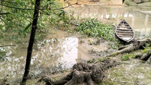 নেত্রকোনায় পানিতে ডুবে শিশুর মৃত্যু