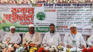 সরকার গঠন করে শুরুতেই জনগণের রায়কে উপেক্ষা করেছে বিএনপি: গোলাম পরোয়ার