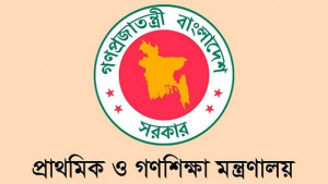 সামাজিক মাধ্যমে আপত্তিকর পোস্ট, প্রাথমিক শিক্ষকদের বিরুদ্ধে ব্যবস্থা নেওয়ার নির্দেশ