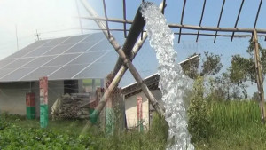 কৃষিতে সৌরবিদ্যুৎ ব্যবহারের সময় এখনই