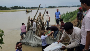 সুনামগঞ্জে থামছে না বাঁধের ভাঙন, ডুবছে হাওরের ফসল