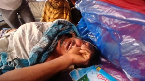 সুন্দরবনে বাঘের আক্রমণে মৌয়াল আহত