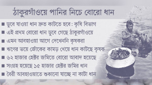 ‘ডুবে ডুবে ধান না কাটলে সারা বছর খাব কী!’