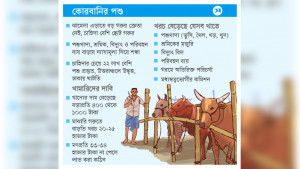 খামারিদের হিসাব মিলছে না