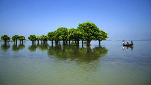 টাঙ্গুয়ার হাওর ভ্রমণে এসে নিখোঁজ কিশোর
