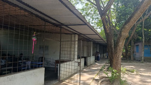 জাঁকজমক বিদ্যালয়টি এখন অস্তিত্ব সংকটে