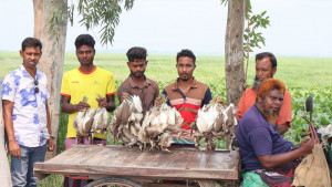 ৫০টি বক জবাই করে বিক্রি