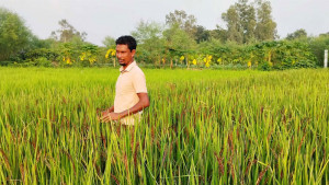মিজানের ঘুরে দাঁড়ানোর গল্প
