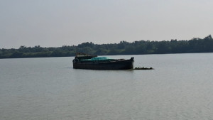 সুন্দরবনে ২৩০ টন কয়লাসহ গ্রেপ্তার ৯