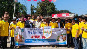 মানসিক চাপ ও ডায়াবেটিস নিয়ন্ত্রণে ভূমিকা রাখে ডিম