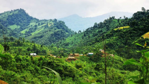 খাগড়াছড়িতে তিন মাস ধরে বন্ধ ভূমি নামজারি, ভোগান্তি