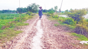 আত্রাইয়ে গ্রাম মানেই কাঁচা রাস্তা