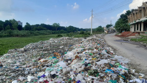 কপোতাক্ষের তীরে  যন্ত্রণার ভাগাড়