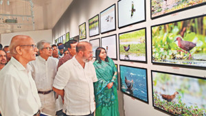 নদী-পাখির ছবিতে প্রকৃতি রক্ষার আহ্বান