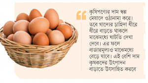 ডিম সিন্ডিকেট নিয়ে কল্পকাহিনি বিশ্বাস করবেন না