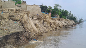 পদ্মায় বিলীন ২০০ ঘরবাড়ি