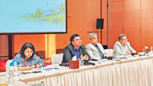 সৌরবিদ্যুতের ব্যবহার বাড়াতে  অর্থায়ন সহজ করা দরকার