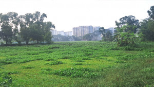 বিশ্ববিদ্যালয়ের স্থাপনা নির্মাণে জলাবদ্ধতার কবলে কৃষিজমি