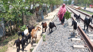 স্বাবলম্বী হওয়ার লড়াই
