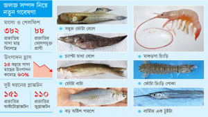 সুন্দরবনে নতুন ৭ প্রজাতির মাছ