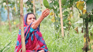 কৃষিতে রপ্তানি বাড়াতে আইএফআইসি ব্যাংকের নতুন অর্থায়ন মডেল
