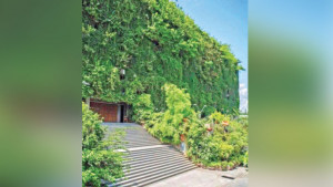 রিবা আন্তর্জাতিক পুরস্কার পেল রংপুরের কারখানা