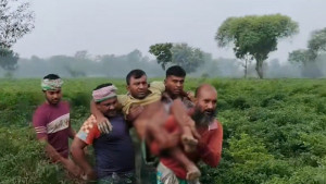 কুষ্টিয়া সীমান্তে বিএসএফের গুলিতে বাংলাদেশি আহত