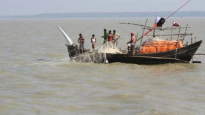 ইলিশ শিকারে নদী-সাগরে জেলেরা, ঘাটে কর্মচাঞ্চল্য