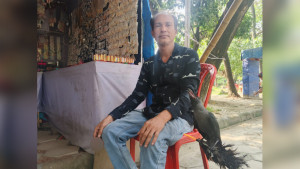 কাক হারিয়েছে, মায়া হারায়নি বাবুলের