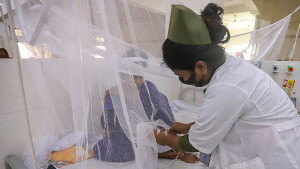 ডেঙ্গুতে সারাদেশে আরও ৯ জনের মৃত্যু