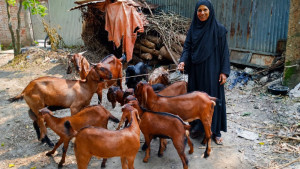 অভাবের পথ পেরিয়ে সফল উদ্যোক্তা