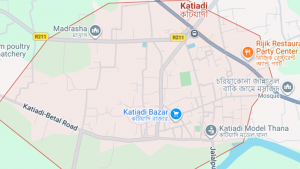 কটিয়াদীতে ৪ পরিবারের ৫ শিশু বিক্রির অভিযোগ