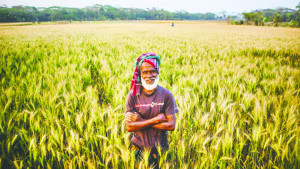 দেশে খাদ্য উৎপাদন বাড়লেও আমদানি-নির্ভরতা কাটছে না  