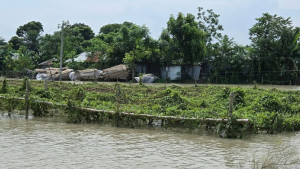 পানি কমলেও ফসলহানিতে কৃষকের আহাজারি