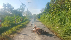 সাজেকে জেএসএস-ইউপিডিএফের গোলাগুলি, এলাকায় আতঙ্ক