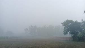 তেঁতুলিয়ায় টানা ৩ দিন ঘন কুয়াশা, তাপমাত্রা নামল ২৪ ডিগ্রিতে