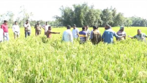 চার দিন খুঁজেও মেলেনি চিতাবাঘের সন্ধান, ঢাকায় ফিরল বিশেষজ্ঞ দল