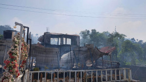 রান্নাঘরের চুল্লি থেকে আগুনের সূত্রপাতের ধারণা, তদন্ত কমিটি