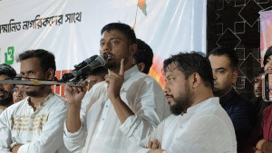 মিটিং হয়, দিন যায়, রাত আসে—কোনো সমাধান হয় না: নাসীরুদ্দীন পাটওয়ারী