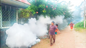 ভাণ্ডারিয়ার ঘরে ঘরে ডেঙ্গু জ্বর ও ডায়রিয়া