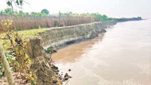 ভাঙছে জমি, তারা এখন সর্বস্বান্ত