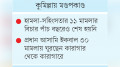 ‘সবার ঘরে পূজার আনন্দ  আমাদের পরিবারে নেই’