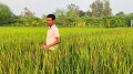 মিজানের ঘুরে দাঁড়ানোর গল্প
