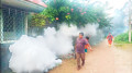 ভাণ্ডারিয়ার ঘরে ঘরে ডেঙ্গু জ্বর ও ডায়রিয়া