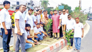 দুই দিনে ৩০০ গাছের চারা রোপণ